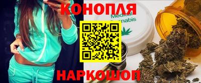 сатива Обь