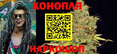 сатива Обь