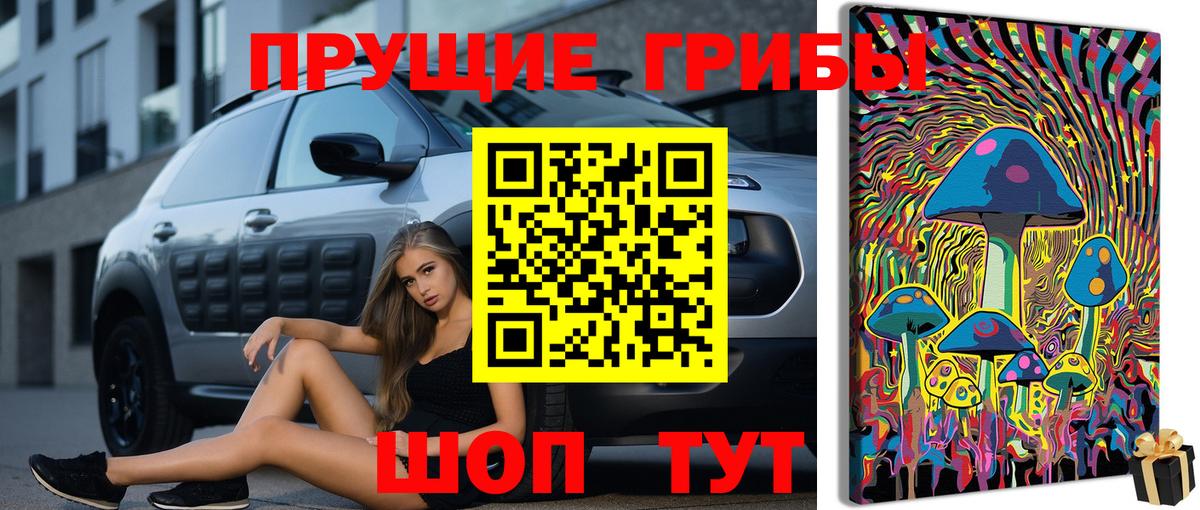 Сергиев Посад  где купить   Вход с VPN  Галлюциногенные грибы Magic Shrooms 